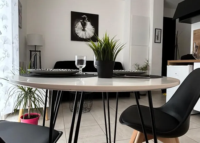 Appartement calme,lumineux ,coeur culturel deTOURS