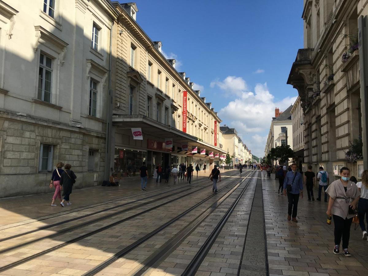 Calme,lumineux ,coeur Culturel Detours Appartement Tours